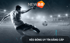 Kèo bóng độc new88