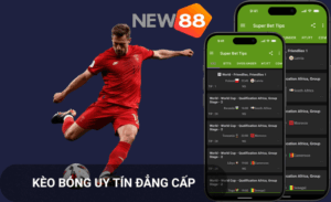 Kèo bóng miễn phí new88