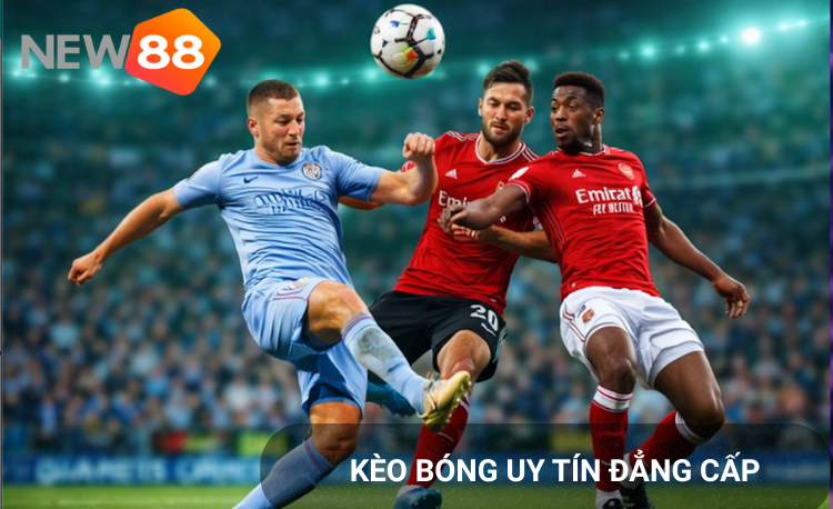 Kèo bóng VIP New88