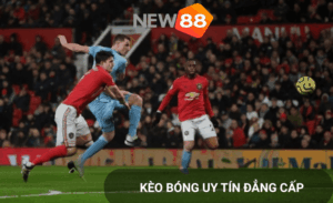Kèo chuẩn New88