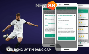 So sánh kèo New88